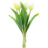 Tulp cream 36cm EX55 - (N-1412)